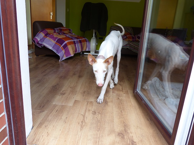 P1020120.JPG
