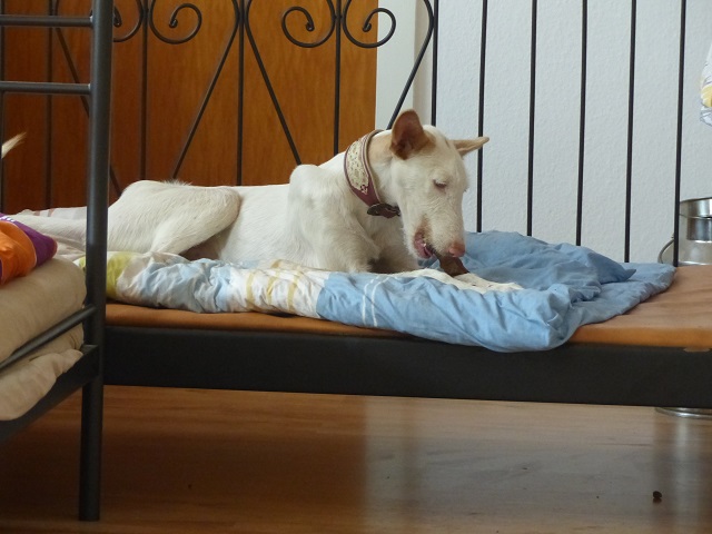 P1020253.JPG