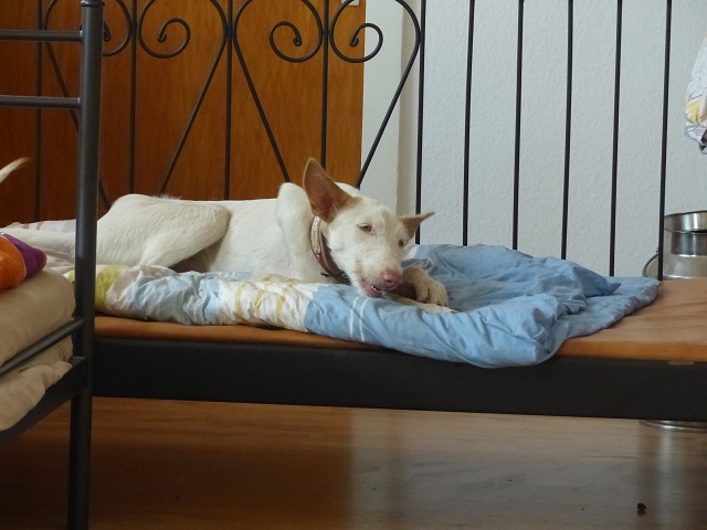 P1020256.JPG