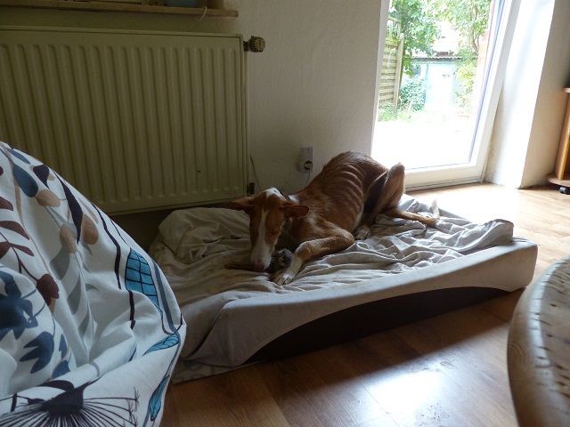 P1020236.JPG