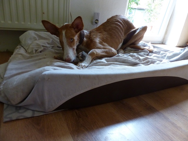 P1020238.JPG