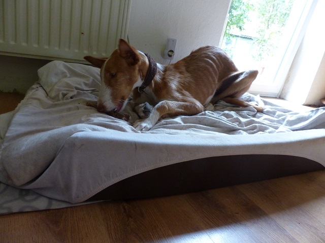 P1020241.JPG