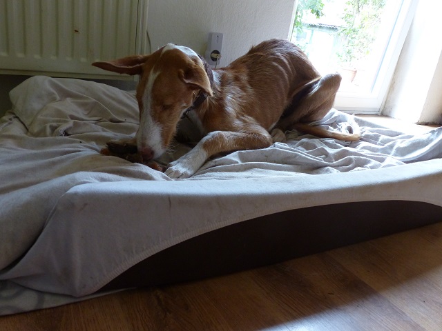P1020242.JPG
