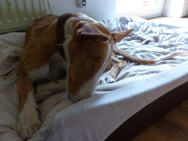 P1020273.JPG