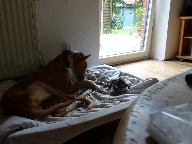 P1020278.JPG