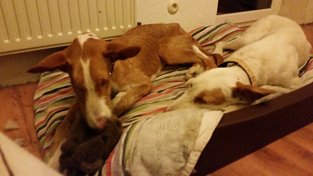 20140921_212402.jpg