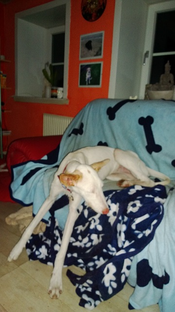WP_20140925_002.jpg
