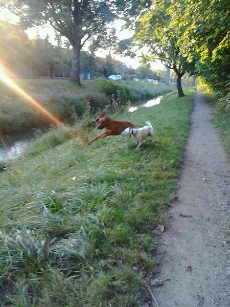 Fietje.jpg