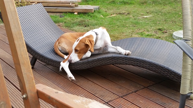 20141001_160357.jpg