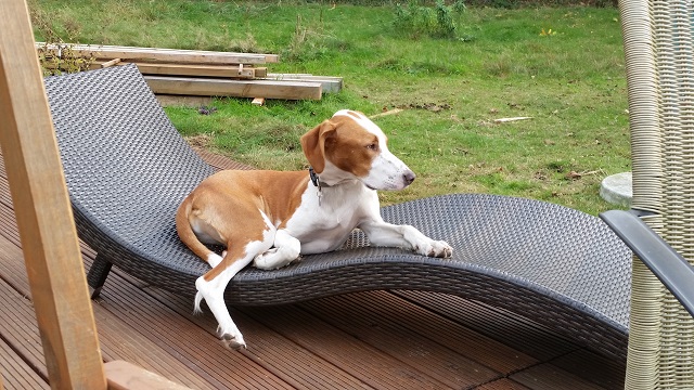 20141001_160401.jpg