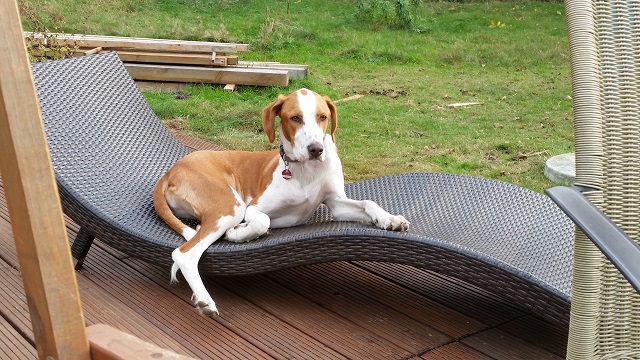 20141001_160405.jpg