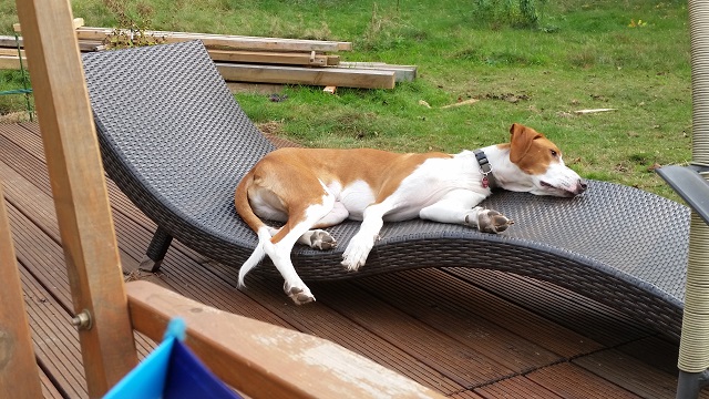 20141001_160431.jpg