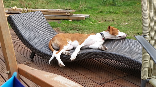 20141001_160435.jpg