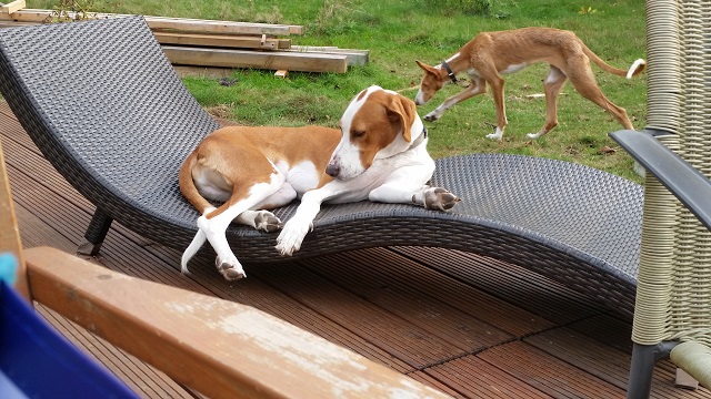 20141001_160439.jpg