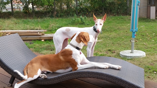 20141001_160711.jpg