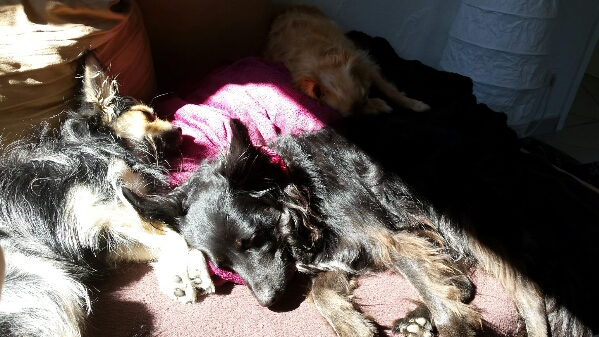 trio.jpg