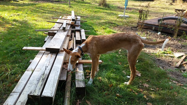 20141010_135420.jpg