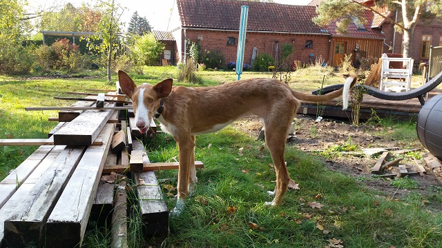 20141010_135423.jpg