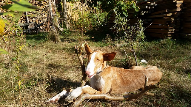 20141010_140533.jpg