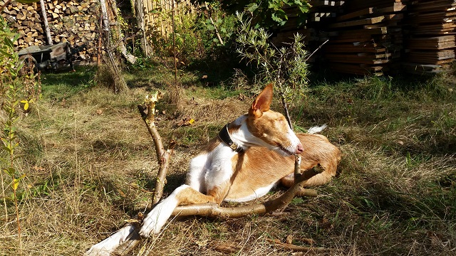 20141010_140537.jpg