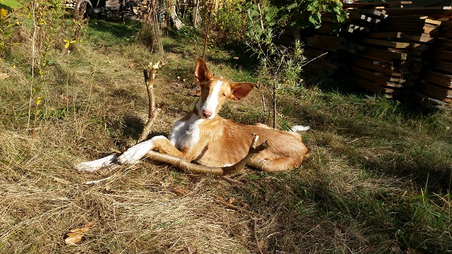 20141010_140542.jpg