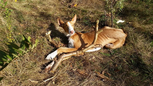 20141010_140552.jpg