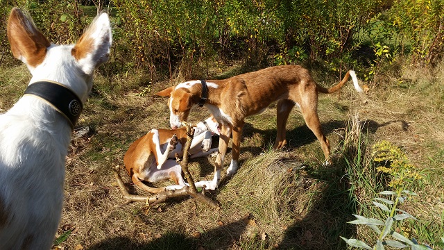 20141010_142826.jpg