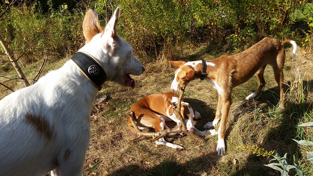 20141010_142831.jpg