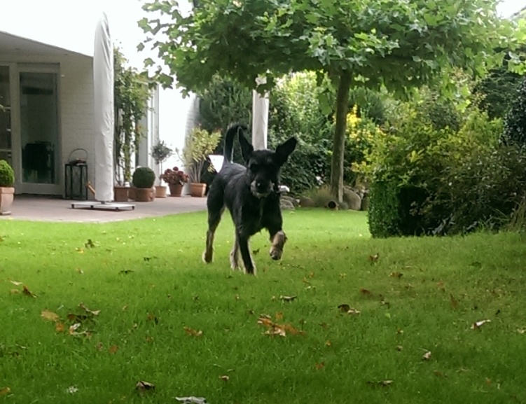 CellyBesuch1.jpg