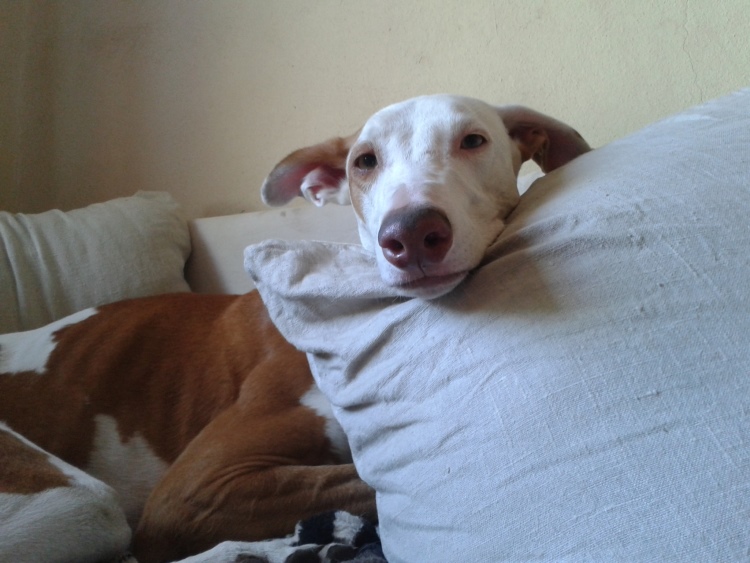 20141010_154940.jpg