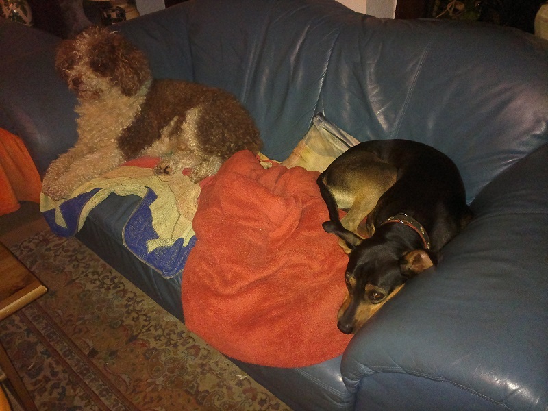 2014-10-19-121.jpg