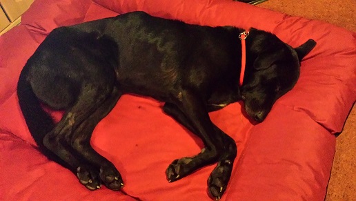 20141007_205031.jpg