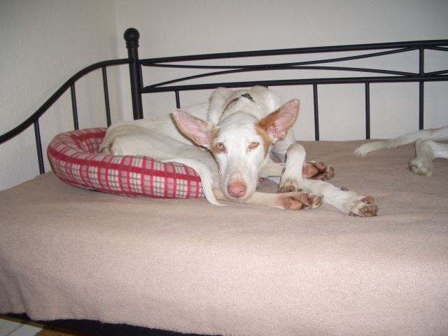 CIMG8640.JPG