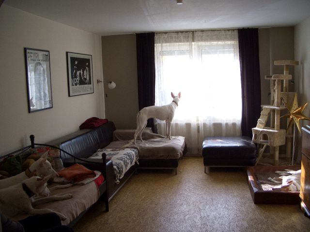 CIMG8614.JPG