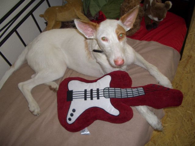 CIMG8644.JPG