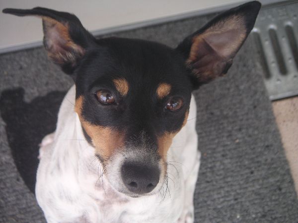 LOLA001.jpg