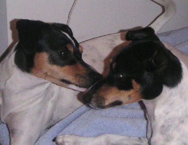 LOLA003.jpg