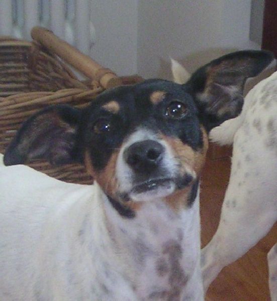 LOLA004.jpg
