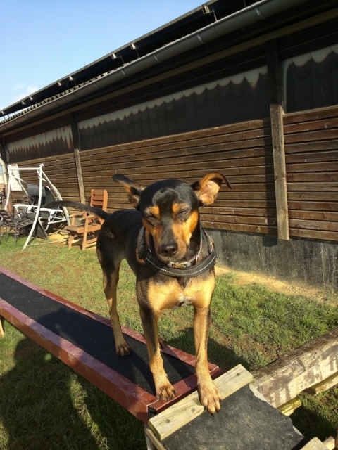 2014-11-06-145.jpg