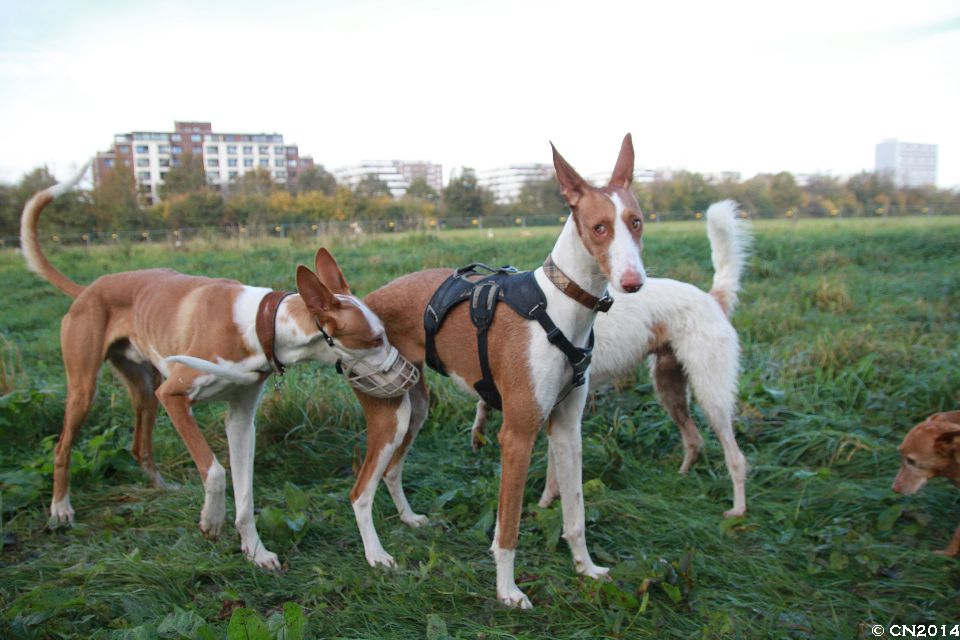 72dpi_IMG_4575.jpg