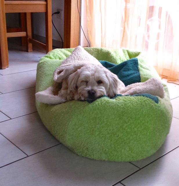 20141004_084215.jpg