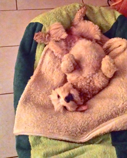 20141030_174248.jpg