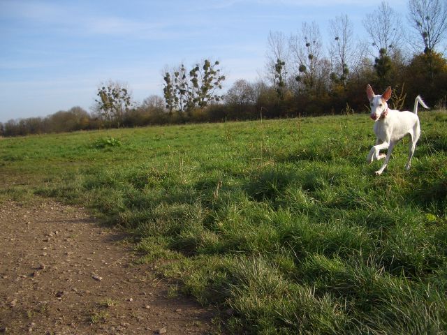 e2.jpg