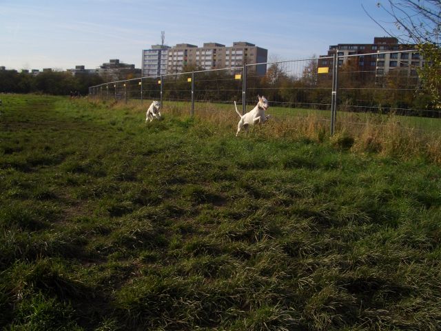e5.jpg