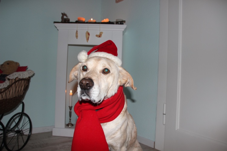 1Advent (1).jpg