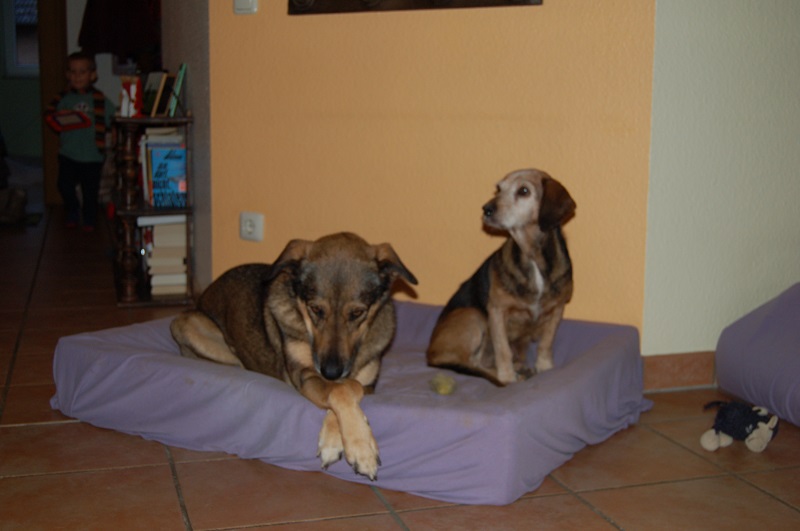 VRONI 010.JPG