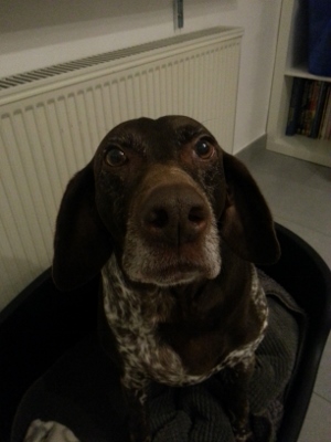 Halloooooo!