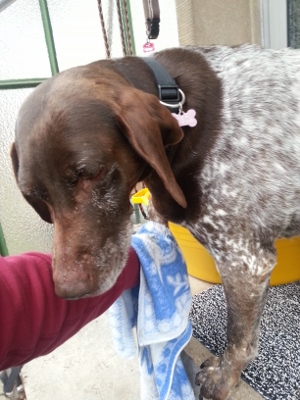 Zeigt her eure Füße...