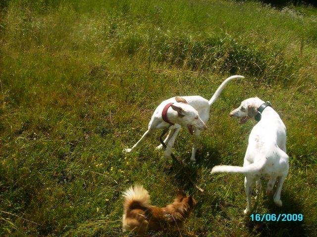 PICT0343_640x480.JPG