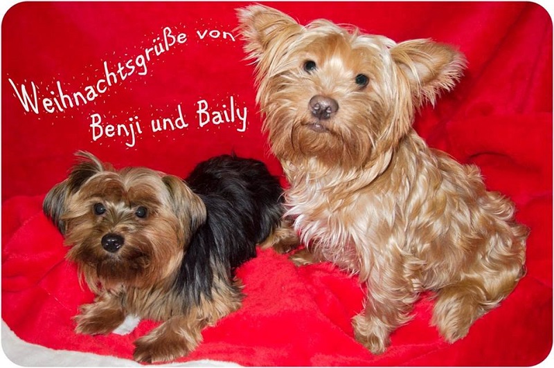 Baily.jpg